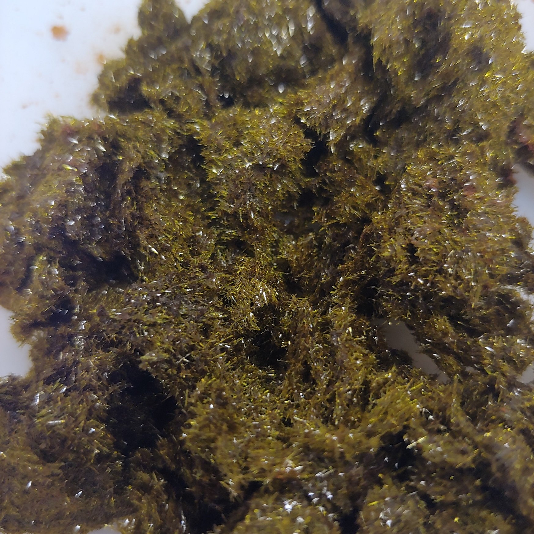 Potassium Hexachloropalladate