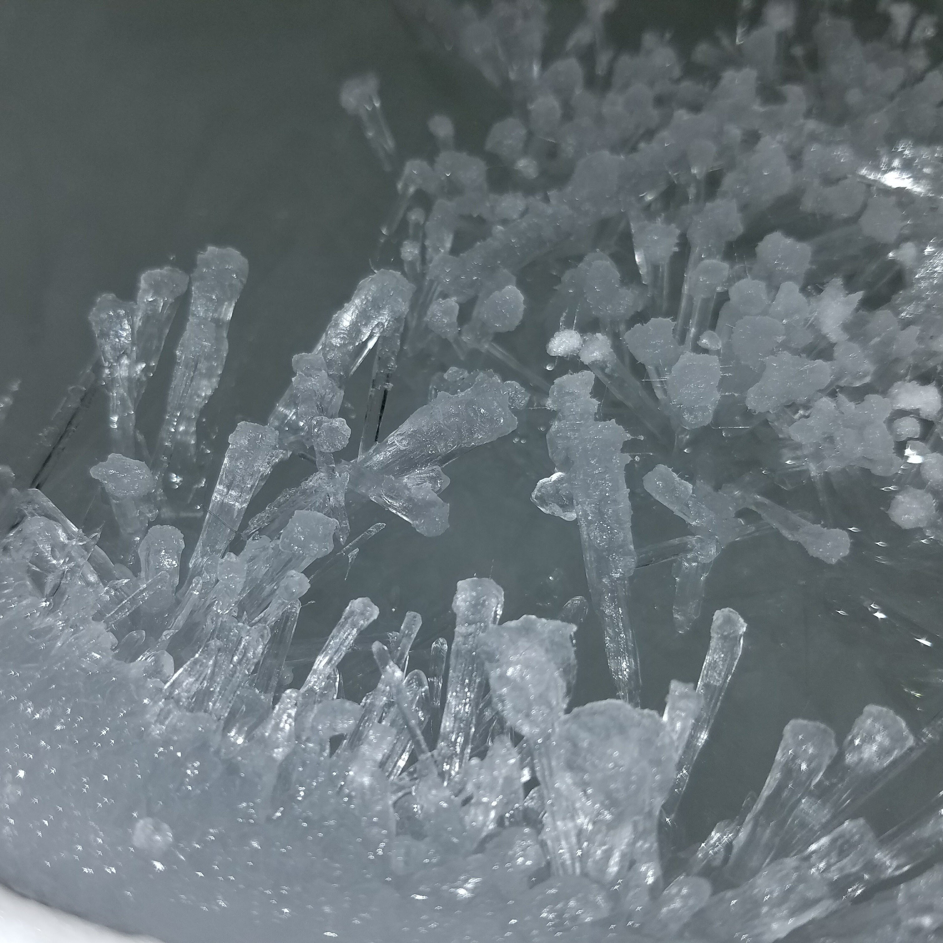 Potassium Nitrate 